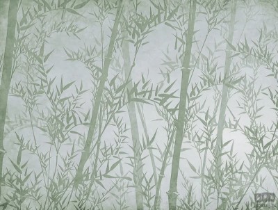 Fototapeta Bamboo V105-3