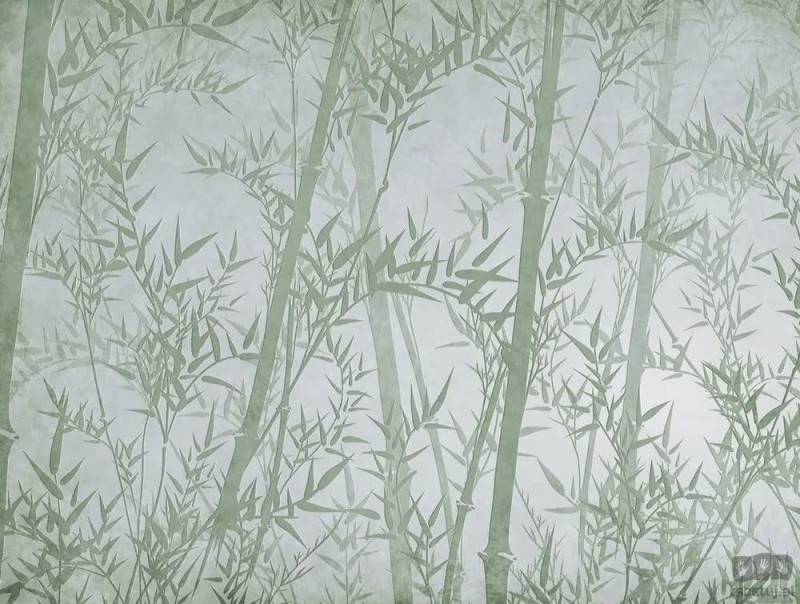 Fototapeta Bamboo V105-3