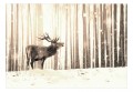 Fototapeta - Jeleń na śniegu (sepia)