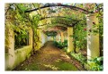 Fototapeta - Pergola