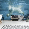 Fototapeta Niedźwiedź polarny 12621