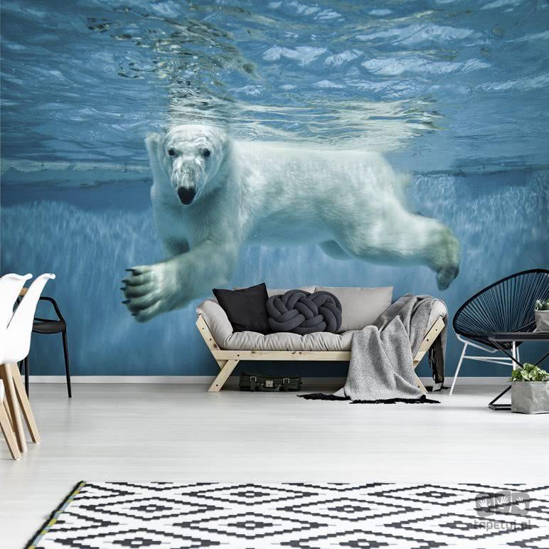 Fototapeta niedźwiedź polarny w wodzie