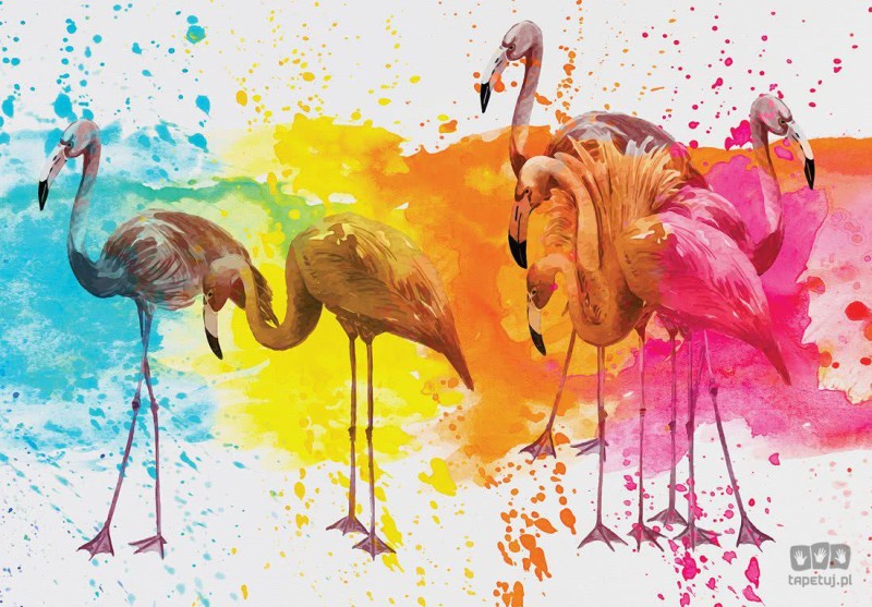 Fototapeta Flamingi 12273