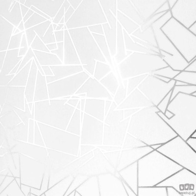 Biała tapeta z geometrycznym srebrnym wzorem