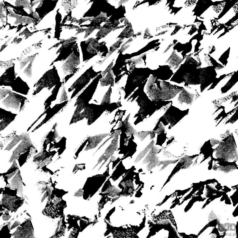 Czarno-biała tapeta z abstrakcyjnym wzorem
