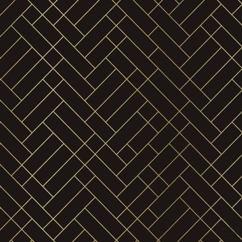 Czarno-złota tapeta z linearnym wzorem