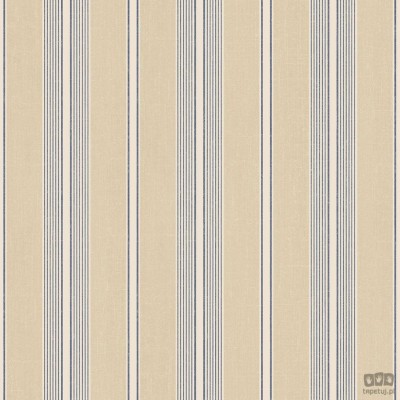 Stripes & Damasks 2 DS29706 tapeta ścienna Galerie