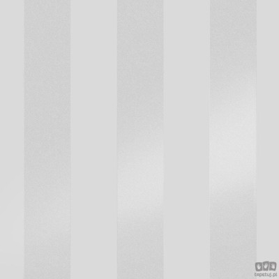 Srebrno-szara klasyczna tapeta w paski