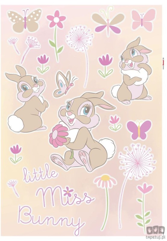 Naklejki ścienne Little Miss Bunny 14096h