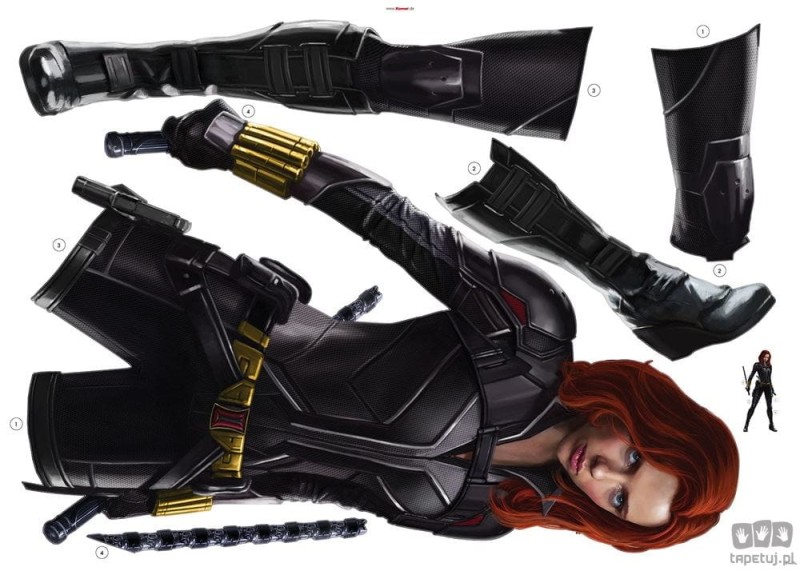 Naklejki ścienne Black Widow Stand 14748h