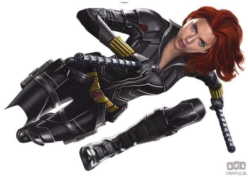 Naklejki ścienne Black Widow Run 14749h