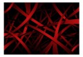 Fototapeta - Strach przed ciemnością