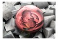 Fototapeta - kamienna róża