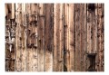 Fototapeta - Poezja drewna