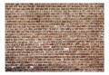 Fototapeta - Stara władza