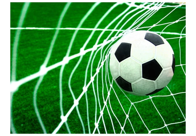 Fototapeta - Goool!