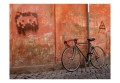 Fototapeta - Rower