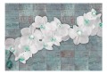 Fototapeta - Orchidee z perłami