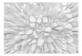 Fototapeta - Biała dalia