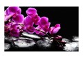 Fototapeta - Chwila relaksu: orchidea i kamienie zen