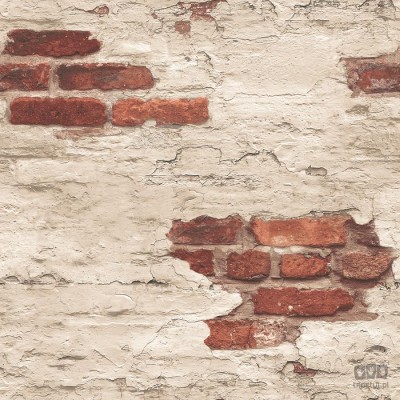 GRUNGE G45354 tapeta ścienna Galerie