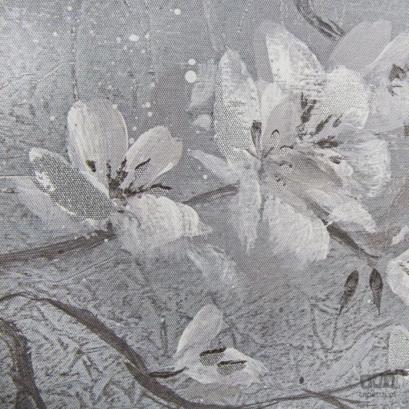 Obraz Tranquil Orchid 102805