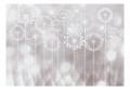 Fototapeta - Ogród ze snu