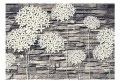 Fototapeta - Kamienne kwiaty
