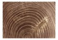 Fototapeta - Surowe drzewo
