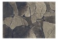 Fototapeta - Baltic Brown