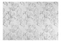 Fototapeta - Biały ornament: róże