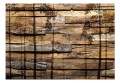 Fototapeta - Cień drzew