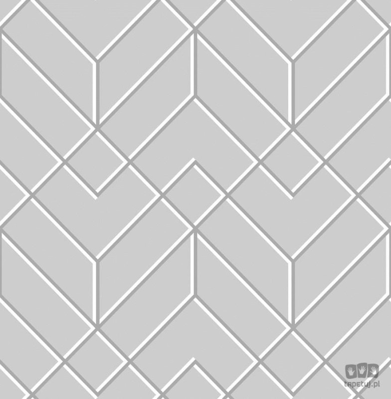 Szara tapeta winylowa na flizelinie w wzór geometryczny 3D