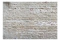 Fototapeta samoprzylepna - Ukryta harmonia