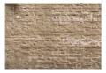 Fototapeta samoprzylepna - Miejska oaza