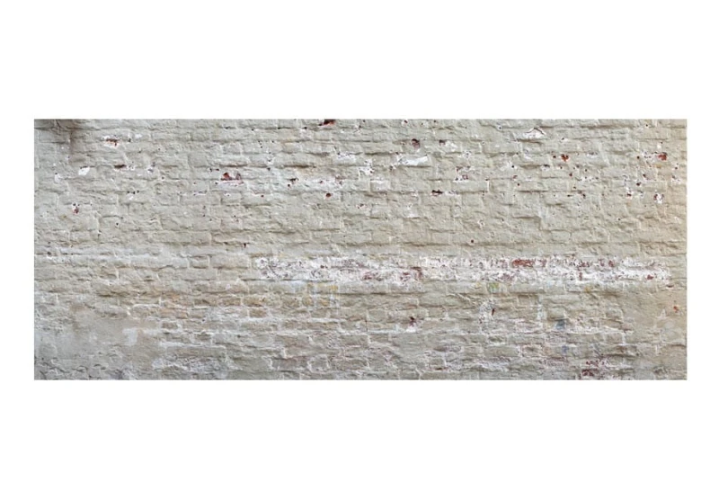 Fototapeta samoprzylepna - Ukryta harmonia IV