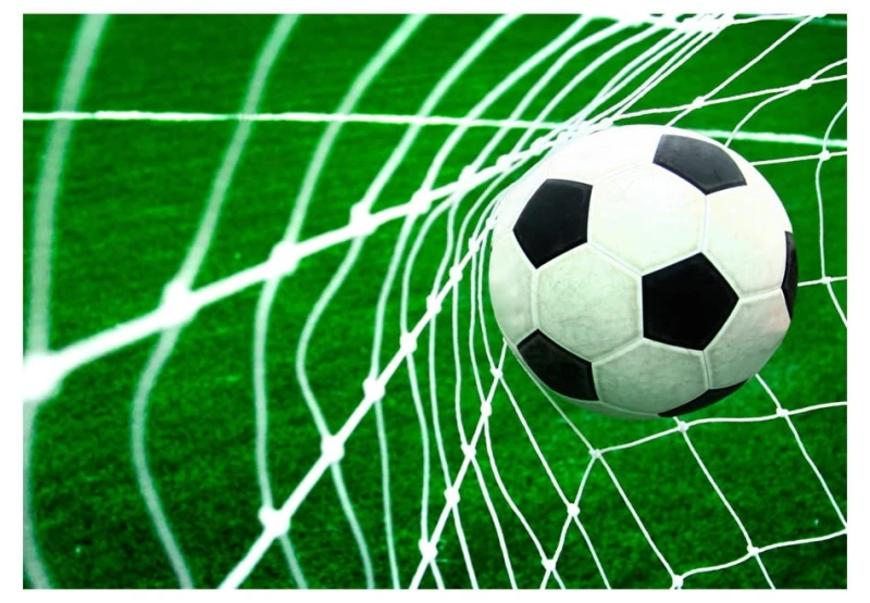 Fototapeta samoprzylepna - Goool!