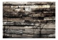 Fototapeta samoprzylepna - Pamięć drzew