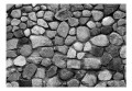 Fototapeta samoprzylepna - Szara obrona
