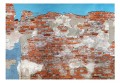Fototapeta samoprzylepna - Tajemnice muru