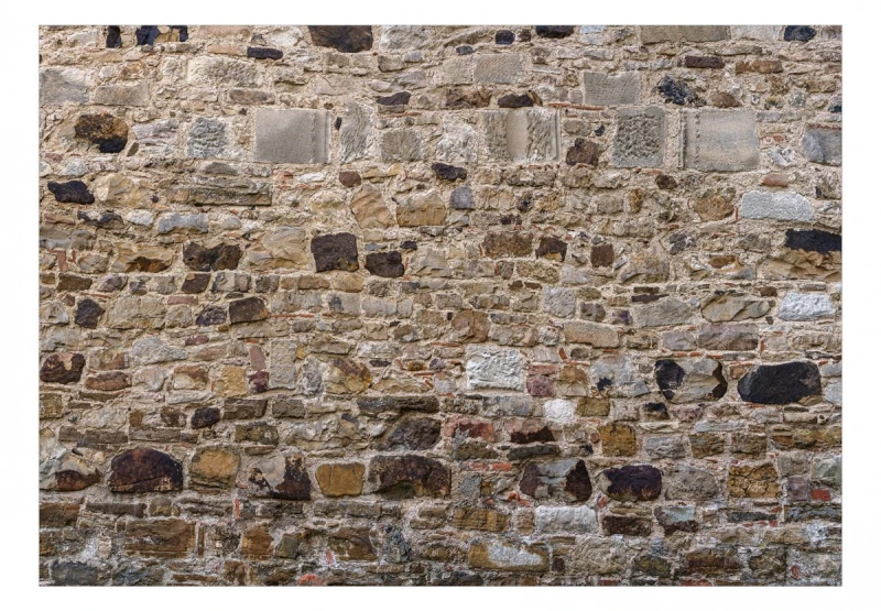 Fototapeta samoprzylepna - Kamienny parkan