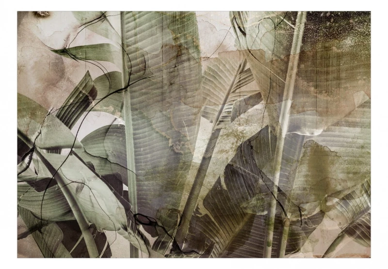 Fototapeta samoprzylepna - Bananowa dżungla