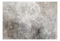 Fototapeta - Jasne rozgałęzienie
