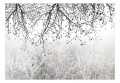 Fototapeta samoprzylepna - Naturalna jasność