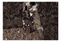 Fototapeta - Klimt inspiracja - Wspomnienie czułości