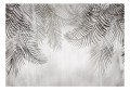 Fototapeta samoprzylepna - Nocne palmy