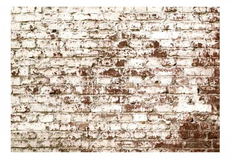 Fototapeta samoprzylepna - Smugi czasu