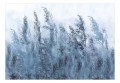 Fototapeta samoprzylepna - Wysokie trawy - szary