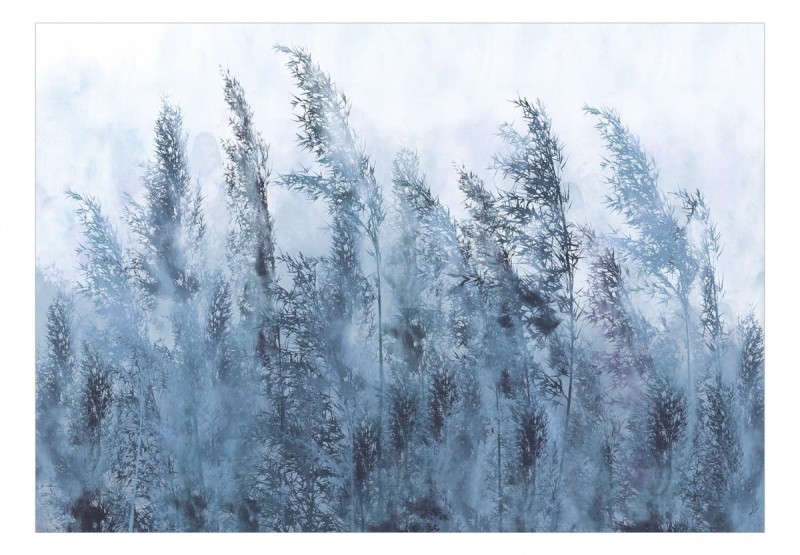 Fototapeta samoprzylepna - Wysokie trawy - szary