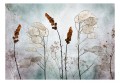 Fototapeta samoprzylepna - Lunaria na łące